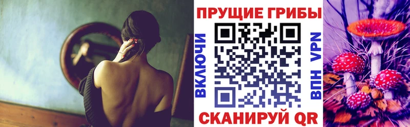 Псилоцибиновые грибы прущие грибы  Луховицы 